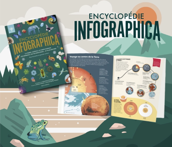 infographica-web