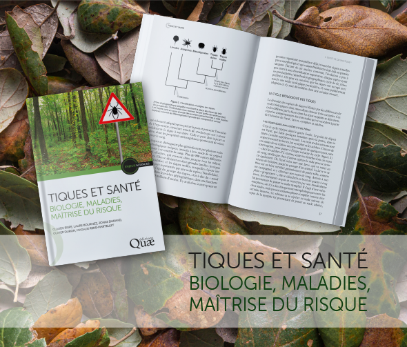 Tiques_visuel_web
