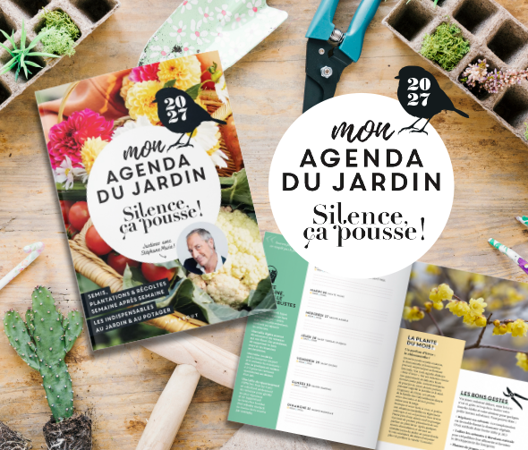 agenda-Silence-ca-pousse_2027_web